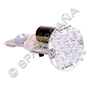 Dimension One LED Bulb
